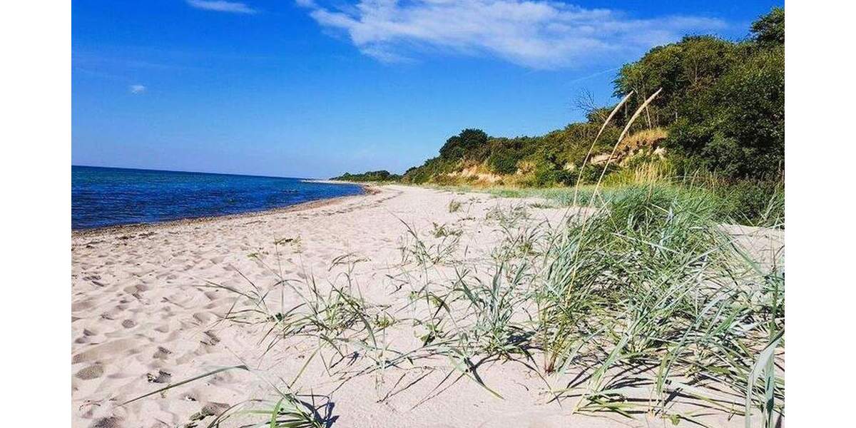 Grundstück Nordwestmecklenburg - Landkreis - Dassow Kaltenhof - 192.240&euro; | Angebot:25775942