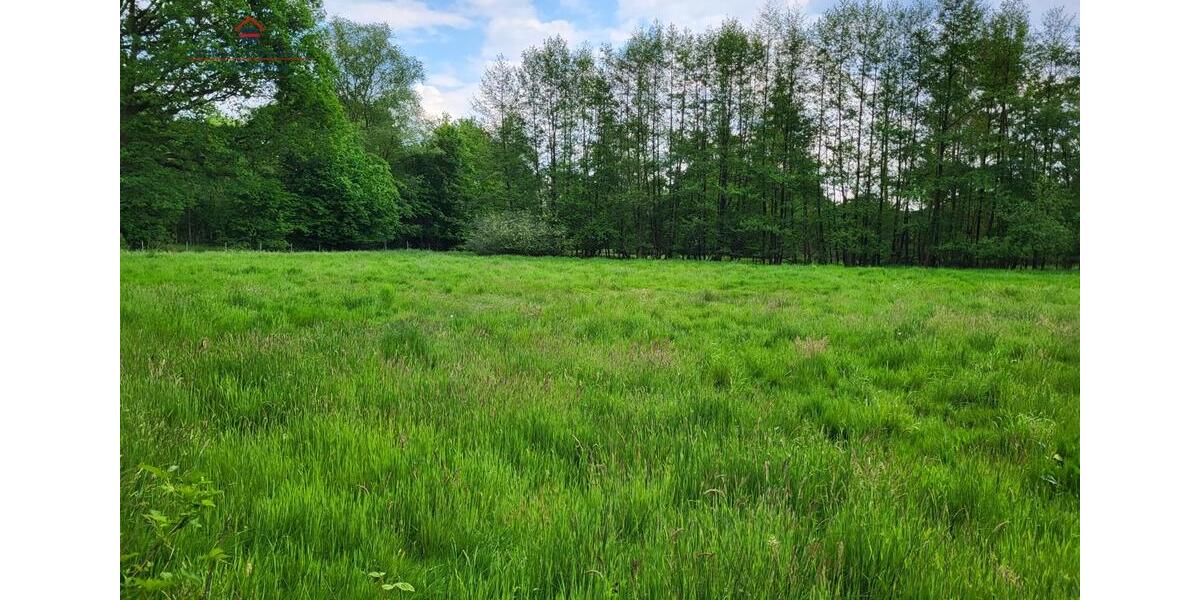 Grundstück Friesoythe - 420.000&euro; | Angebot:19599712