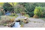 EIN ZUHAUSE MIT VIELEN MÖGLICHKEITEN - Einfamilienhaus Rosdorf | Angebot:26319897