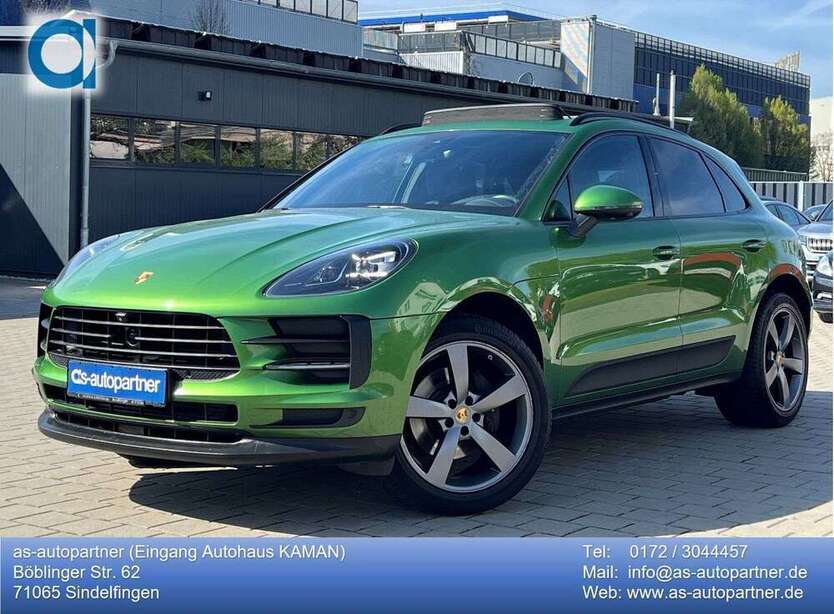 Macan