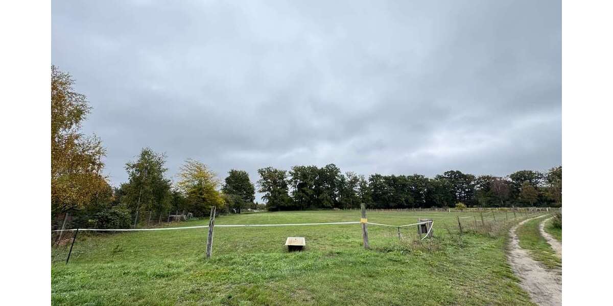 Grundstück Weisen - 29.500&euro; | Angebot:25844666