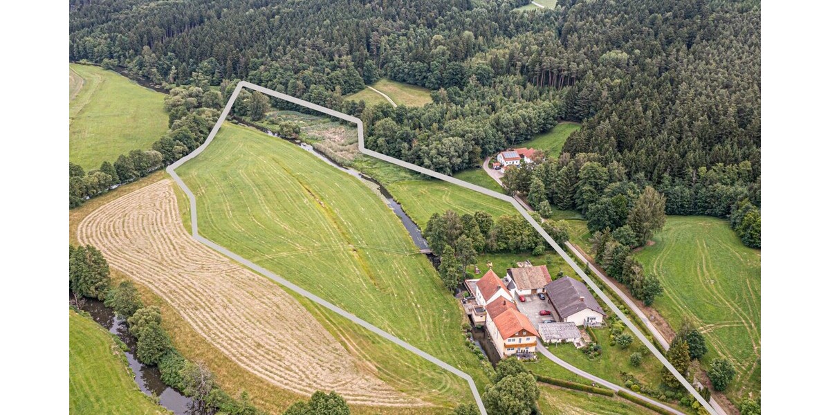 Historische Mühlenanlage mit eigener Stromerzeugung, mehreren Wohngebäuden und attraktivem Ertragspotenzial - Mehrfamilienhaus, Wohnhaus Arnschwang | Angebot:26990284