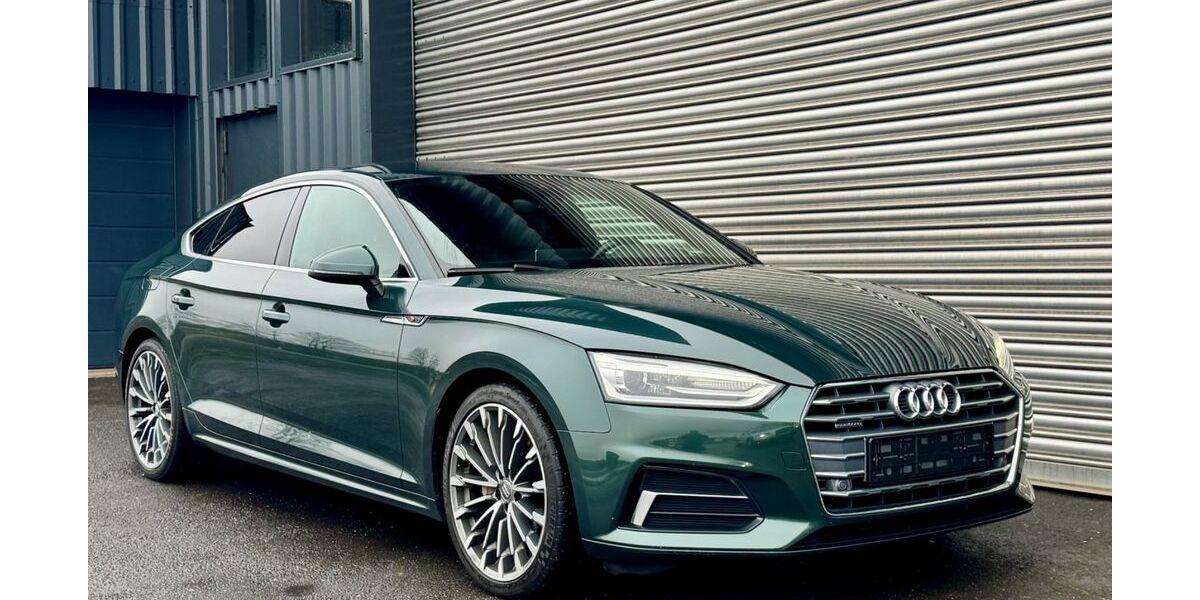 Audi A5 178.600 km 18.441 &euro; Burbach 57299