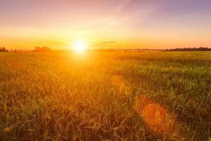 Grundstück zu verkaufen in Velten 62.700 € 285 m² zimmer