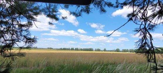 Grundstück Lewitzrand Raduhn - 26.500&euro; | Angebot:24967530