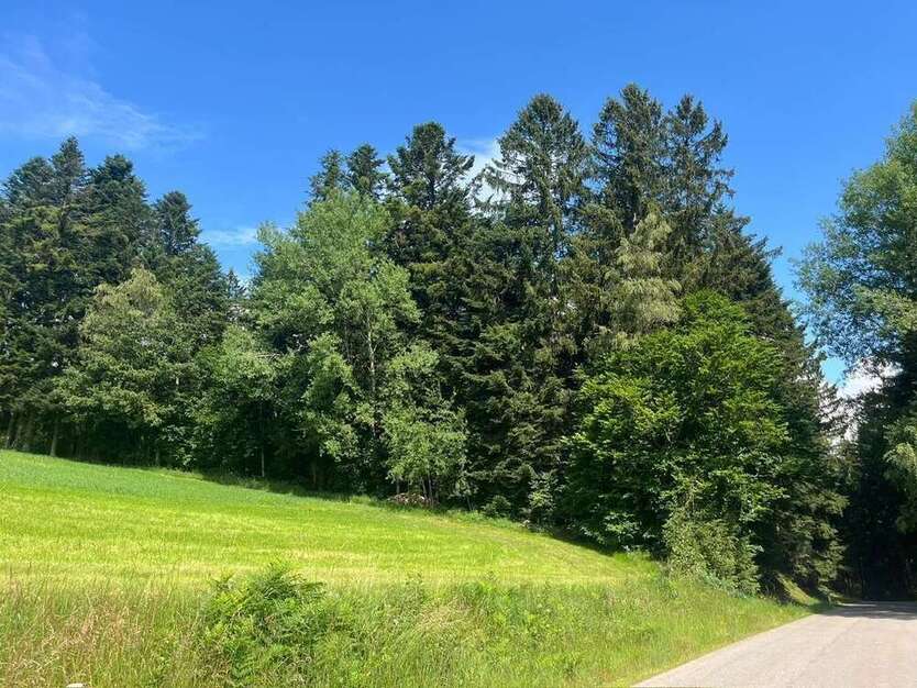 Grundstück in Rattenberg 18.000 € 4274 m²