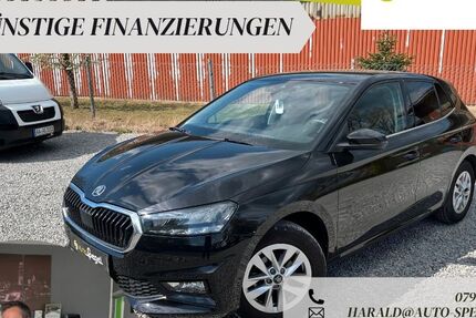 Skoda Fabia 20.144 km 16.390 &euro; Tannhausen 73497