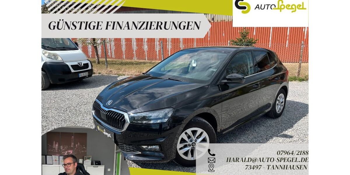 Skoda Fabia 20.144 km 16.390 &euro; Tannhausen 73497