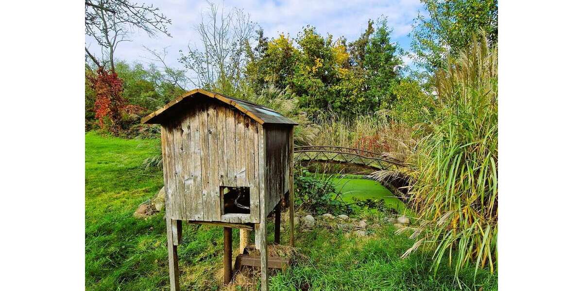 4 WOHNEINHEITEN SIND MÖGLICH - IN TRAUMHAFT RENOVIERTER HOFSTELLE... - Bauernhaus, Landhaus Bleyen-Genschmar Genschmar | Angebot:26177114