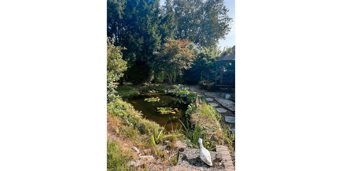 Mehrfamilienhaus, Wohnhaus Wittingen - 429.000&euro; | Angebot:26431965