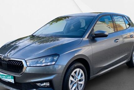Skoda Fabia 22.100 km 16.990 € Schönbrunn 96185