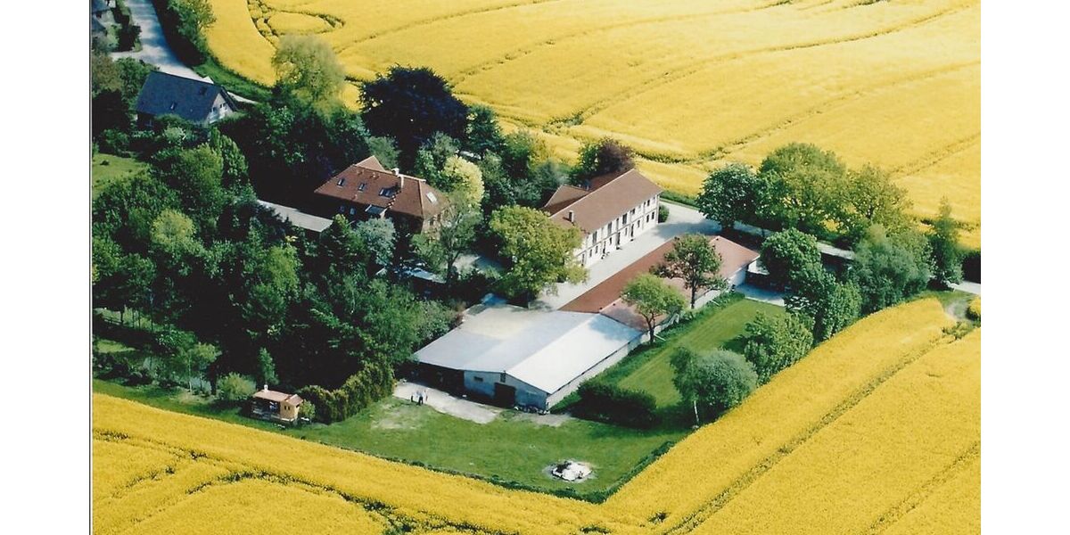 Licht , Sonne , Komfort , wohnen , wo es Spaß macht! - Appartement Mittelangeln Alt Rehberg | Angebot:26624612