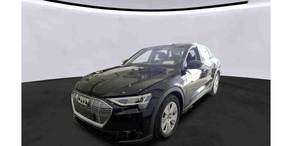 Audi e-tron 33.802 km 31.449 &euro; Hagen 58091