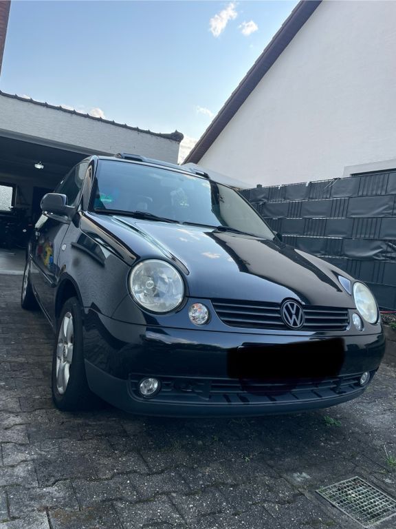 Lupo