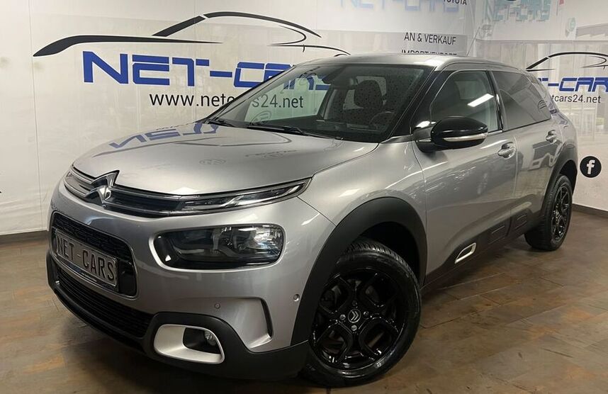 C4 Cactus