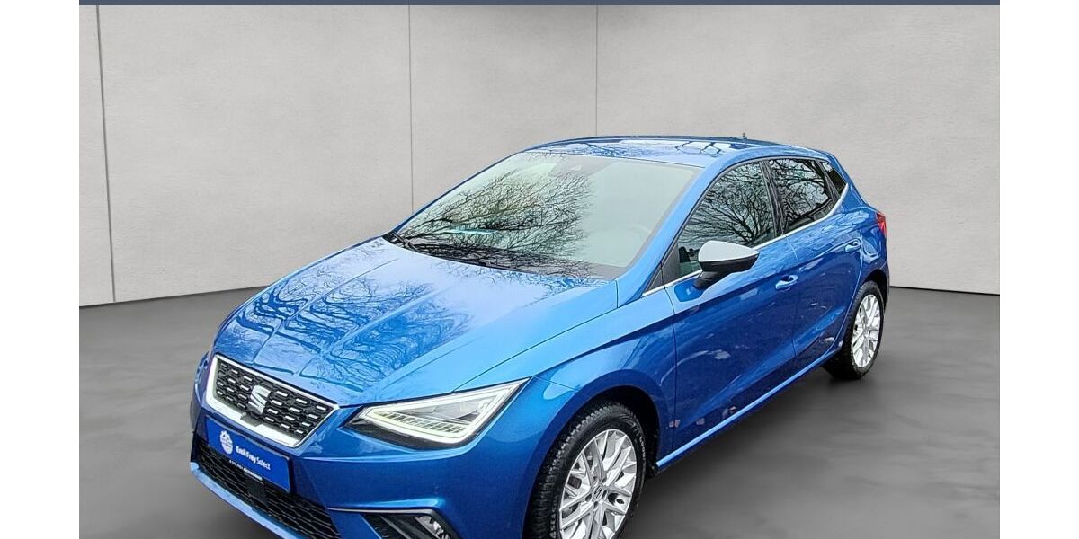 Seat Ibiza 11.030 km 19.980 &euro; Rendsburg 24768