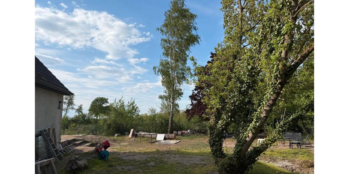 Einfamilienhaus Schwarmstedt - 5 Zimmer, 167 m&sup2;, 1.950&euro; | Angebot:26430916