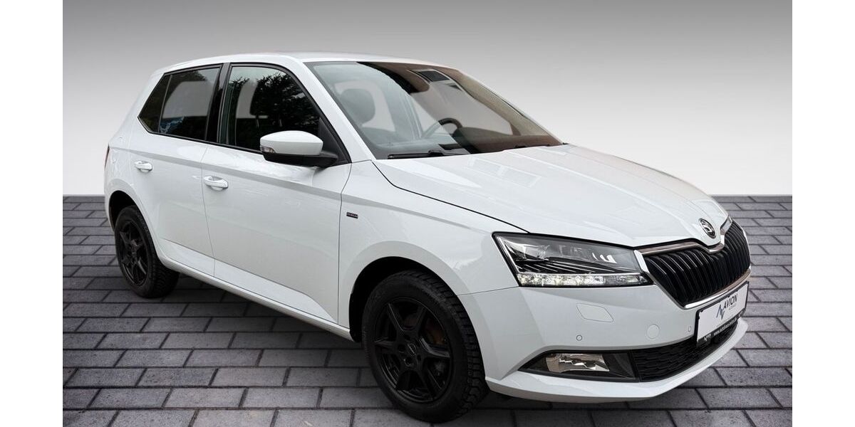 Skoda Fabia 50.234 km 12.290 &euro; Geislingen an der Steige 73312