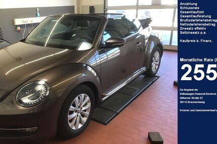 VW Beetle