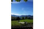 Grundstück Tegernsee - 2.750.000&euro; | Angebot:25338507