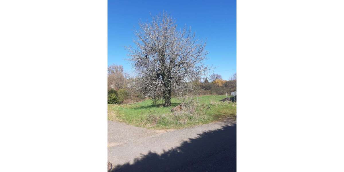 Grundstück Trippstadt - 189.000&euro; | Angebot:26423028