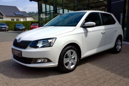 Skoda Fabia 102.176 km 9.490 &euro; Bad Laasphe 57334