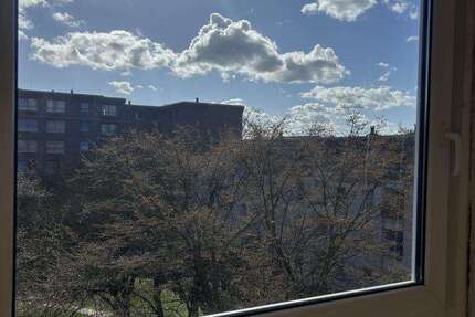 Wohnung Monheim - 3 Zimmer, 68 m&sup2;, 739&euro; | Angebot:25619211