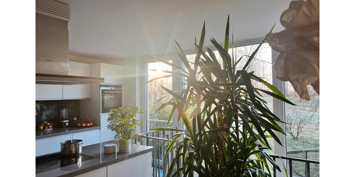 Doppelhaushälfte Rastatt - 5 Zimmer, 166 m&sup2;, 520.000&euro; | Angebot:26020455