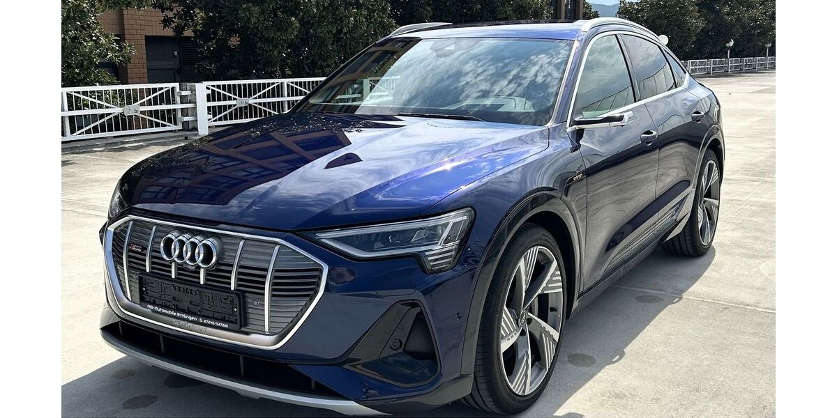 Audi e-tron 37.080 km 40.900 &euro; Ettlingen 76275