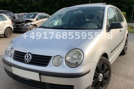 VW Polo