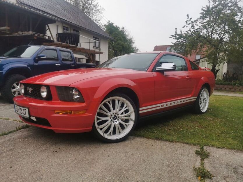 Mustang