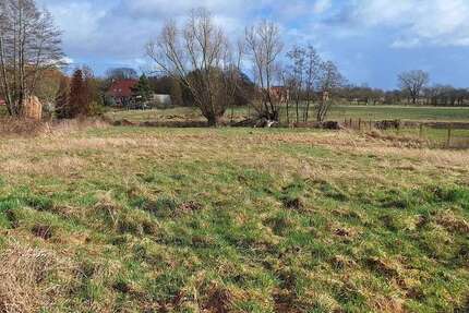 Grundstück Greifswald Groß Schönwalde - 265.000&euro; | Angebot:26809676