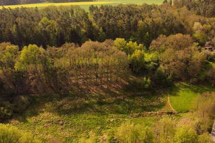 Grundstück zu verkaufen in Enkenbach-Alsenborn 150.000 € 1500 m² zimmer