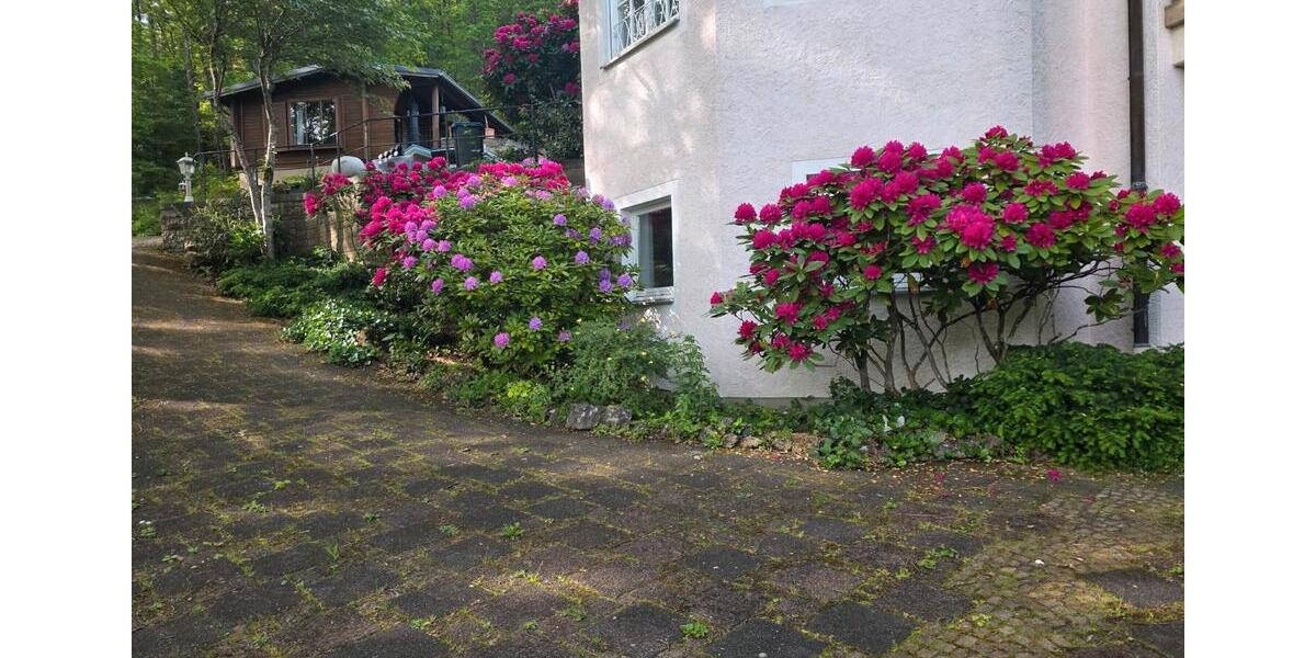 Villa Pelm - 11 Zimmer, 550 m&sup2;, 790.000&euro; | Angebot:27098660
