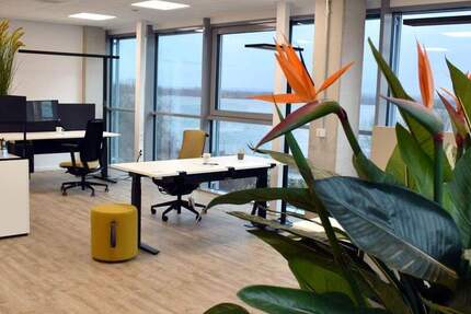 Gewerbeobjekt Wedel - 1 Zimmer, 76 m&sup2;, 1.300&euro; | Angebot:24904581