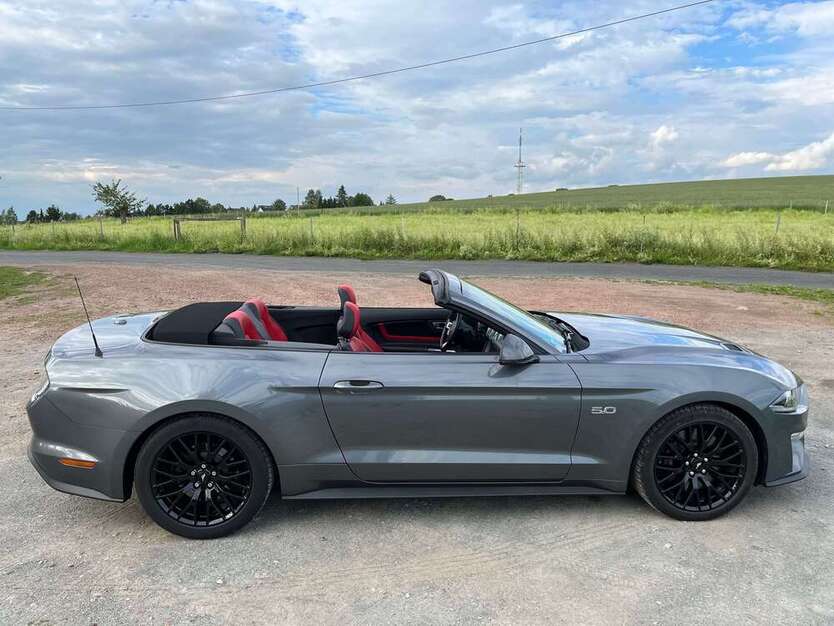 Mustang