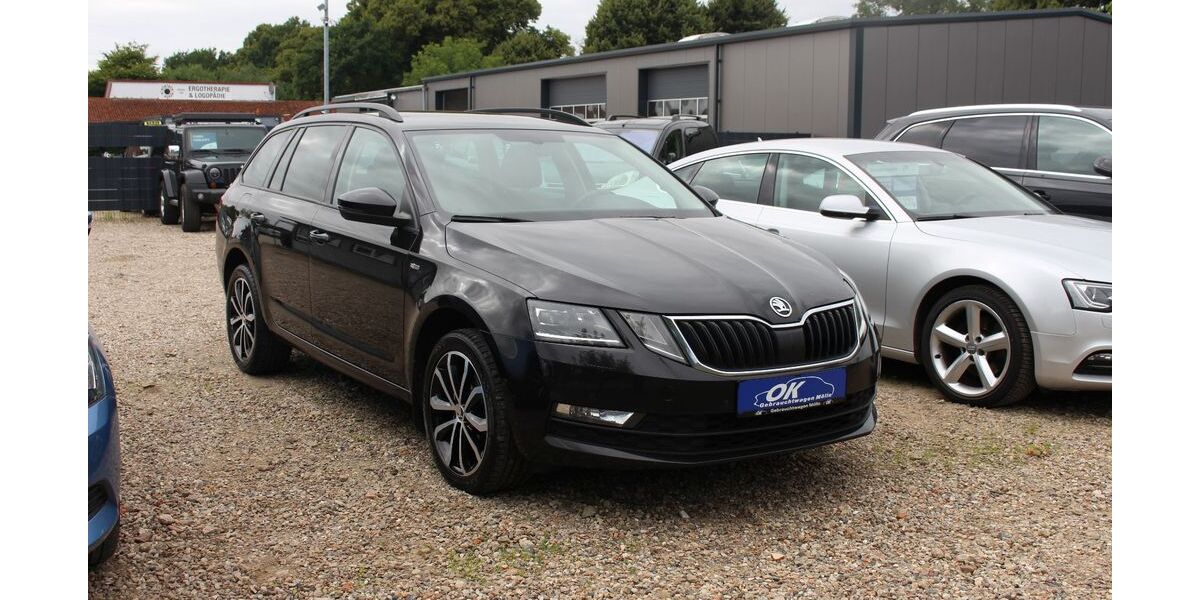 Skoda Octavia 218.315 km 9.890 &euro; Mölln 23879