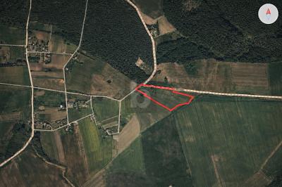 GRÜNLANDFLÄCHE - KAPITALANLAGE MIT PV-POTENTIAL - Grundstück Dreschvitz | Angebot:27022742