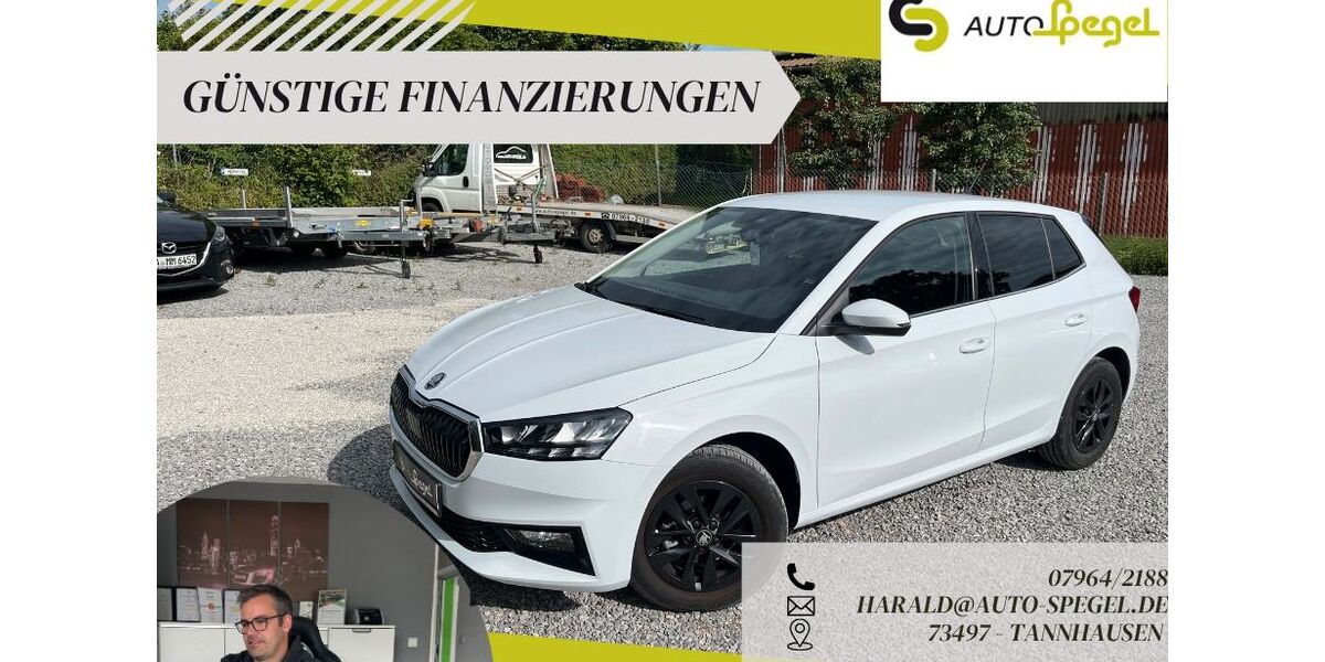Skoda Fabia 21.323 km 16.390 &euro; Tannhausen 73497