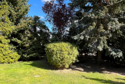 Grundstück zu verkaufen in Hoppegarten 244.000 € 537 m² zimmer