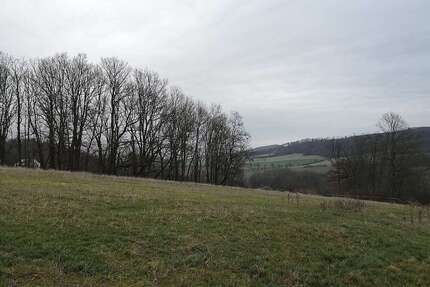 Grundstück zu verkaufen in Friedland 132.000 € 1200 m²