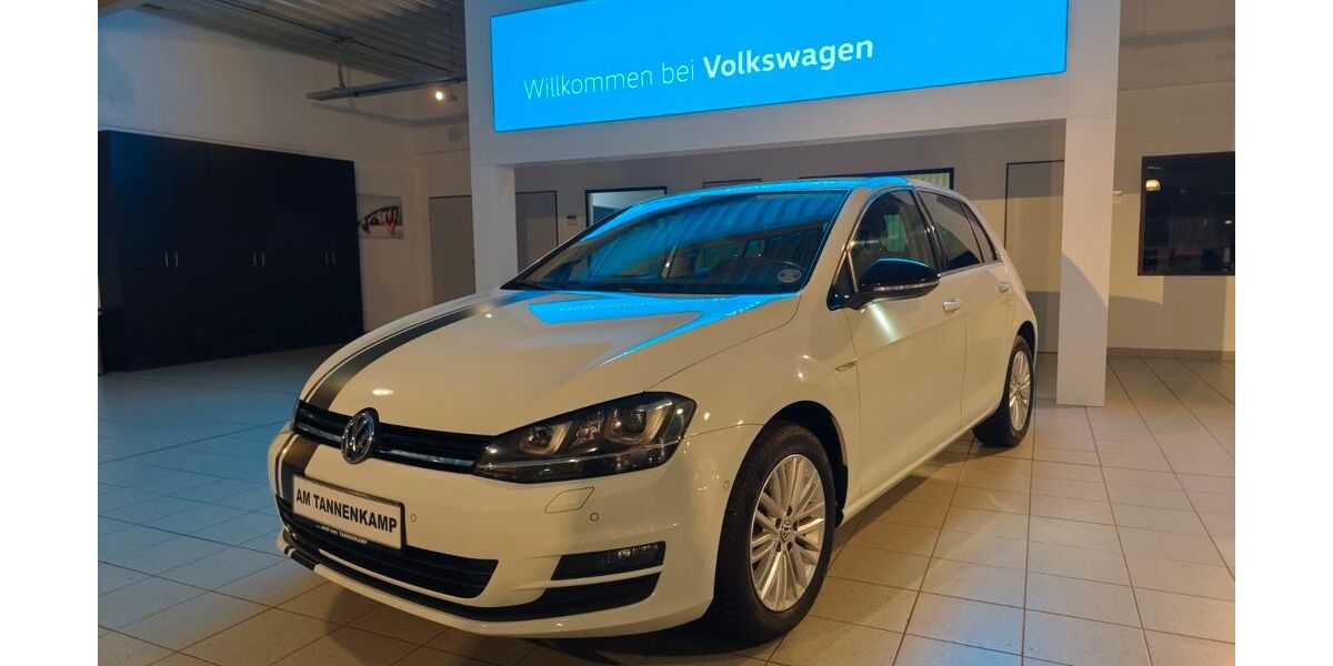 VW Golf 117.200 km 10.890 &euro; Varel 26316