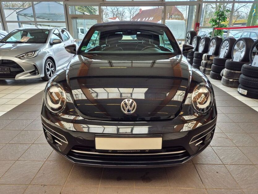 Beetle