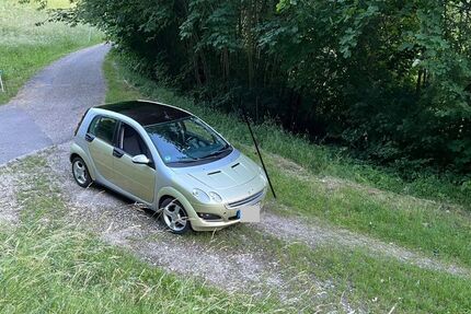 Smart ForFour 195.000 km 1.700 &euro; Reutlingen 72770