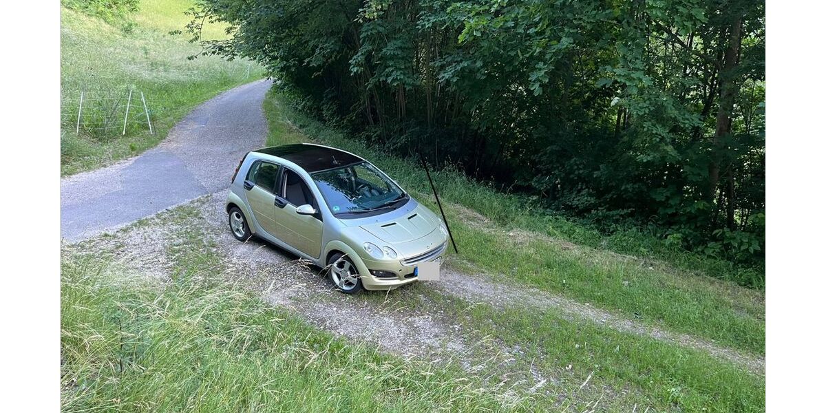 Smart ForFour 195.000 km 1.700 &euro; Reutlingen 72770