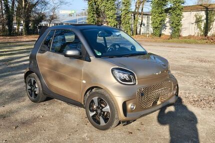 Smart ForTwo 20.400 km 13.800 &euro; waghäusel 68753