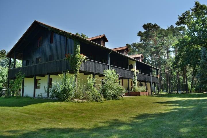 Etagenwohnung Milower Land - 2 Zimmer, 50 m&sup2;, 650&euro; | Angebot:26513475
