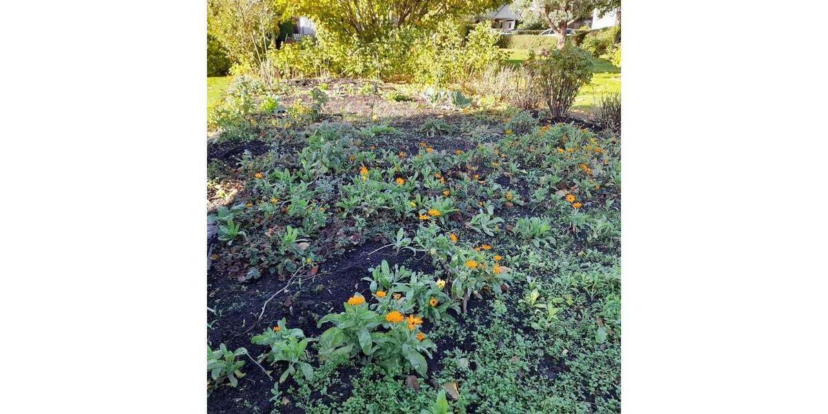 Sehr schönes Einfamilienhaus mit Garage in Rodenkirchen 4 zimmer