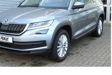 Skoda Kodiaq 130.850 km 18.650 &euro; Waldheim 04736