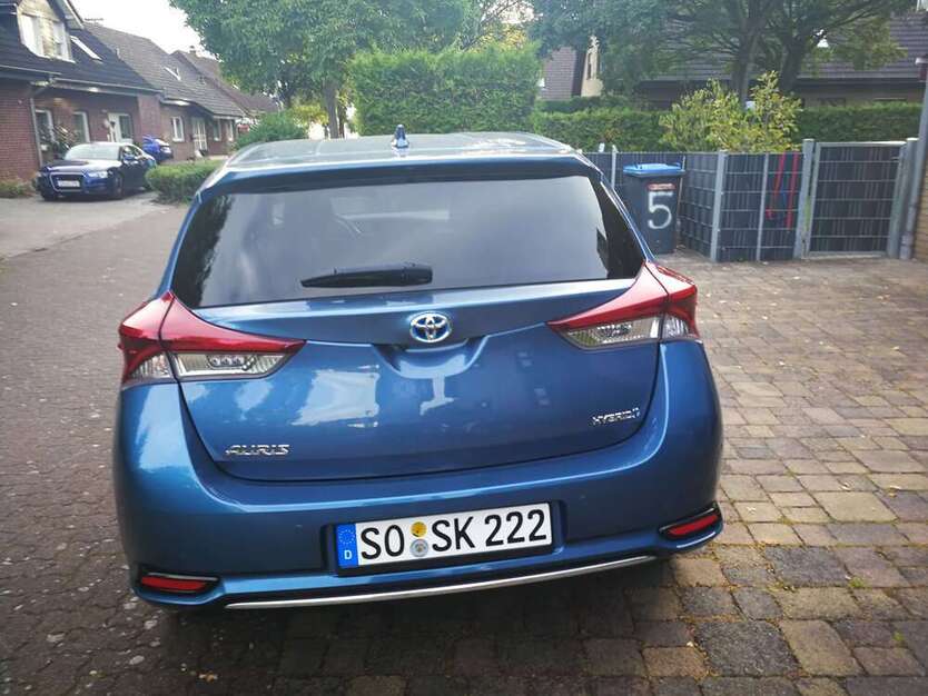 Auris